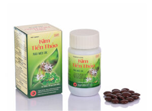 Kim Tiền Thảo Râu Mèo DK